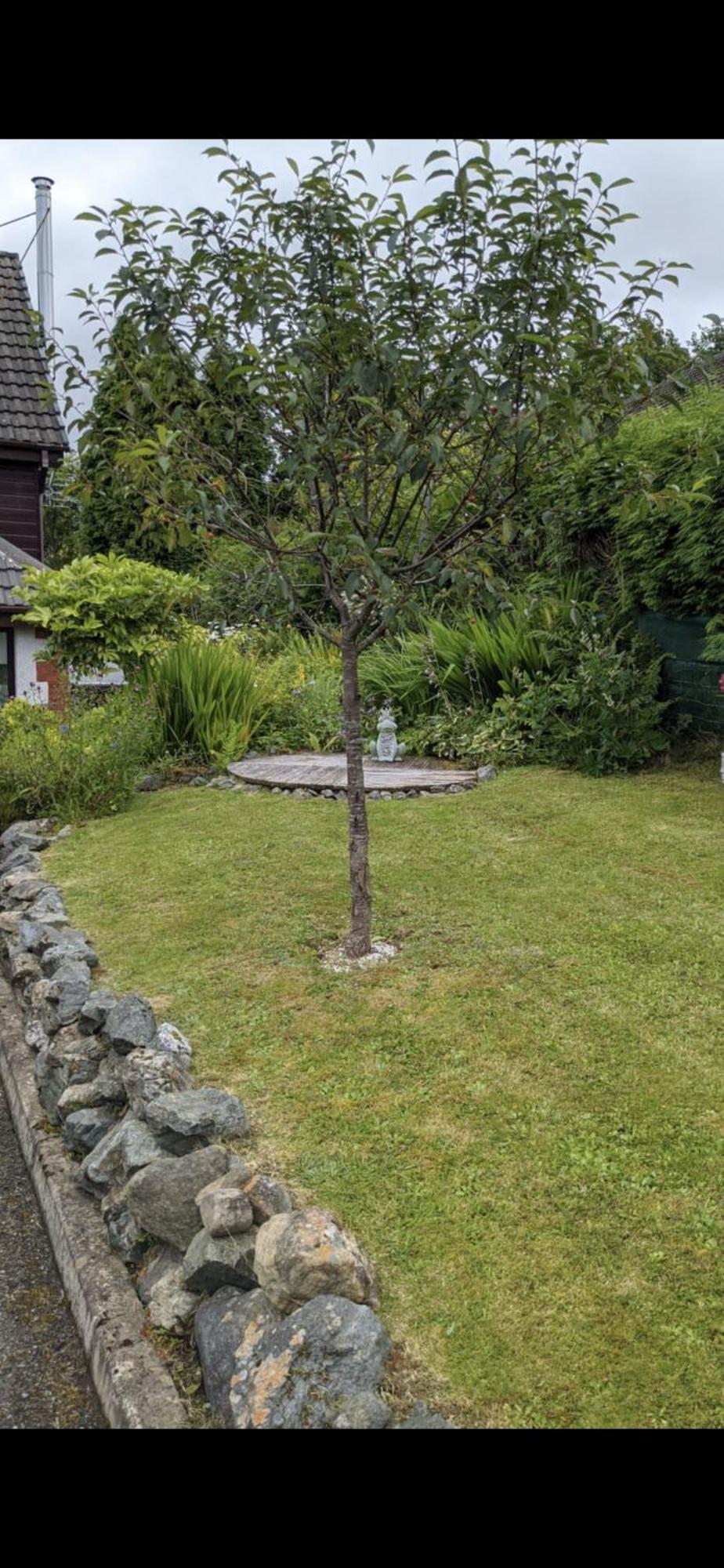 Contemporary Highland House Close To Town And Ben Nevis Форт-Уильям Экстерьер фото
